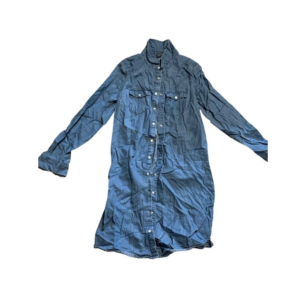 The Limited Jeans Dress (A3)